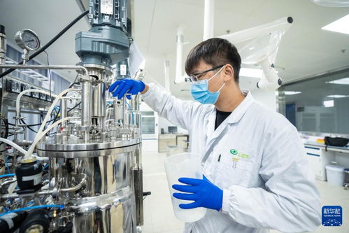 湖南津市 生物制造產業加速發展，技術推廣引領產業升級
