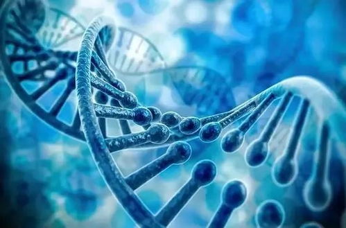 恒潤達(dá)生CAR-T細(xì)胞產(chǎn)品IND申請完成技術(shù)評審，中國生物技術(shù)研發(fā)再添里程碑